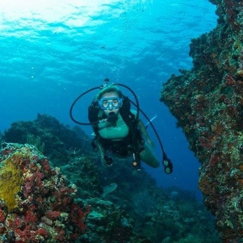 underwater view of a swimming pool