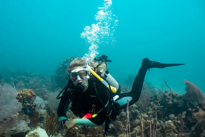 a person swimming underwater