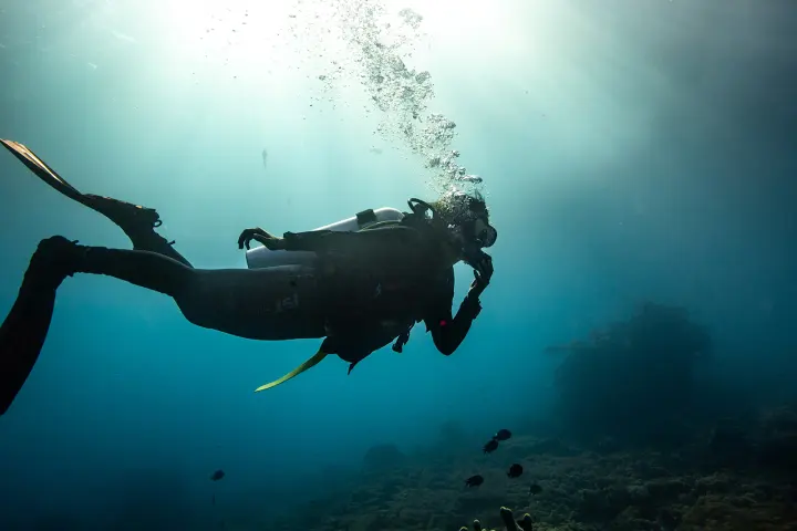 a person swimming in the water
