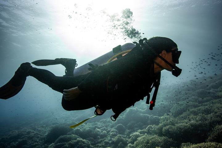 a person swimming in the water