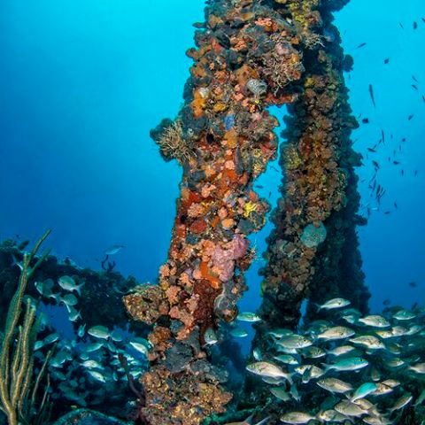 underwater view of a large rock