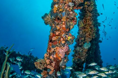 underwater view of a large rock