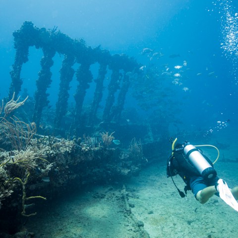 a person in a swimming pool
