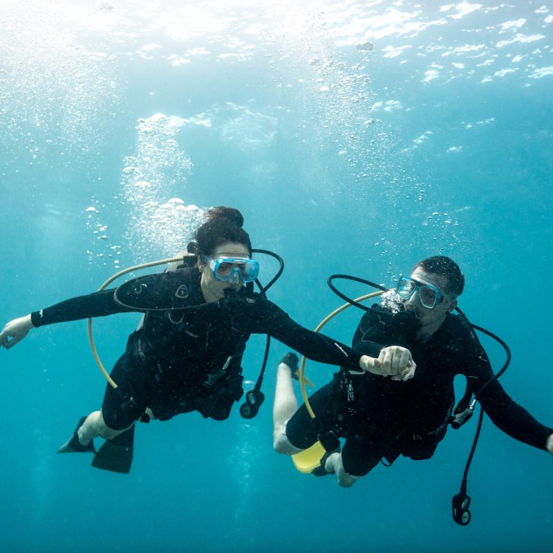 a person swimming in the water
