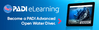 eLearning_AOW_divers_320x100 eLearning_AOW_divers_320x100