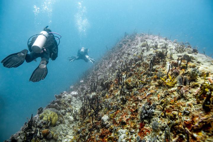 underwater view of a swimming pool