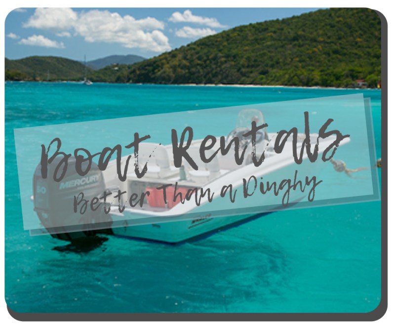 Boat Rental a group of people swimming in a body of water