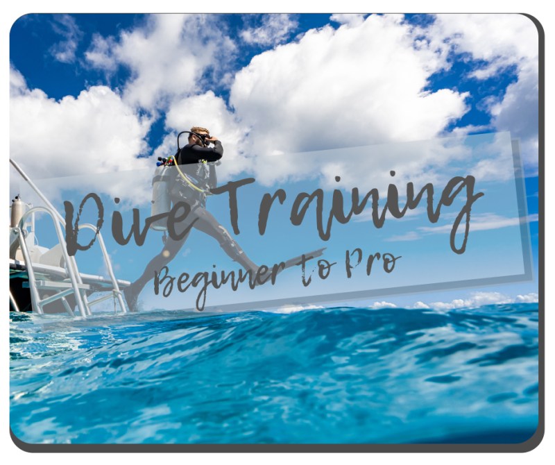 Dive Training 1 dive training