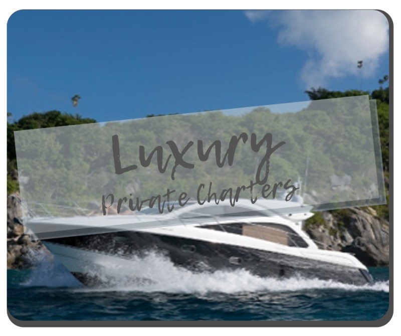 Luxury a close up of a sign