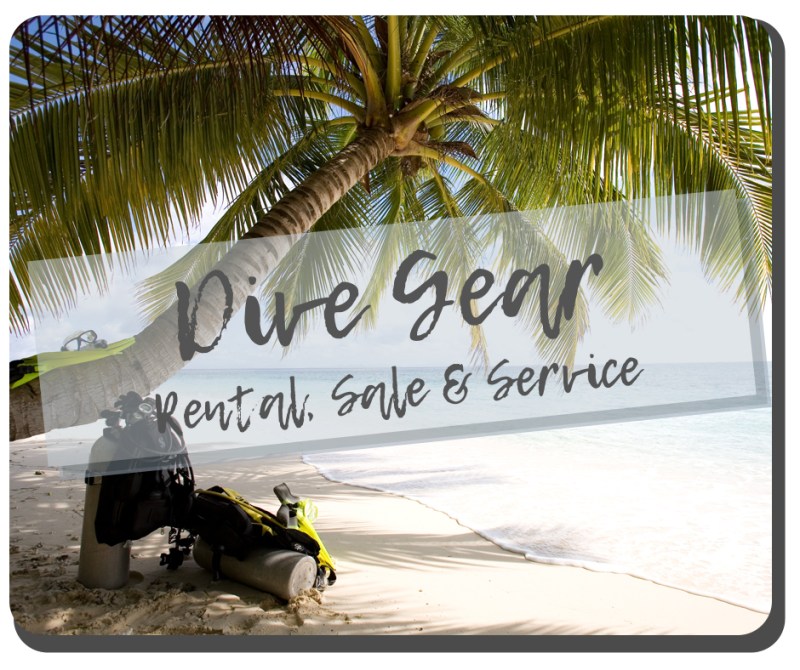 Scuba Gear a fire hydrant on the side of the road