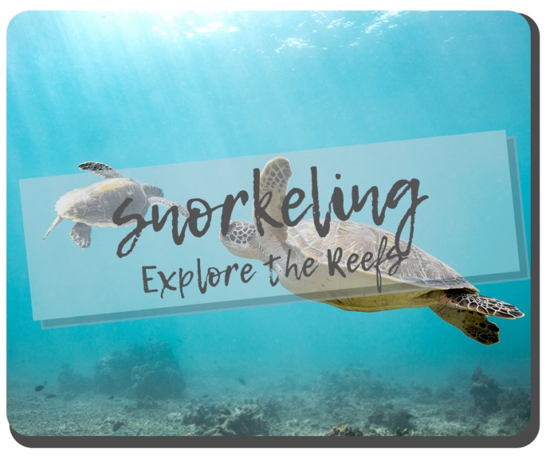Snorkeling1 Snorkeling1