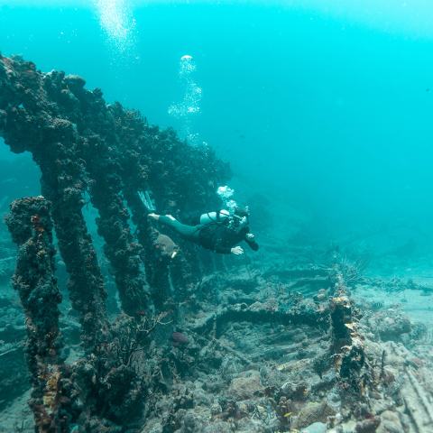 a person in a swimming pool