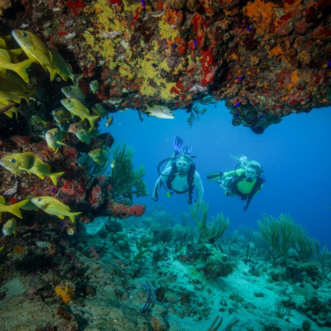 underwater view of a swimming pool