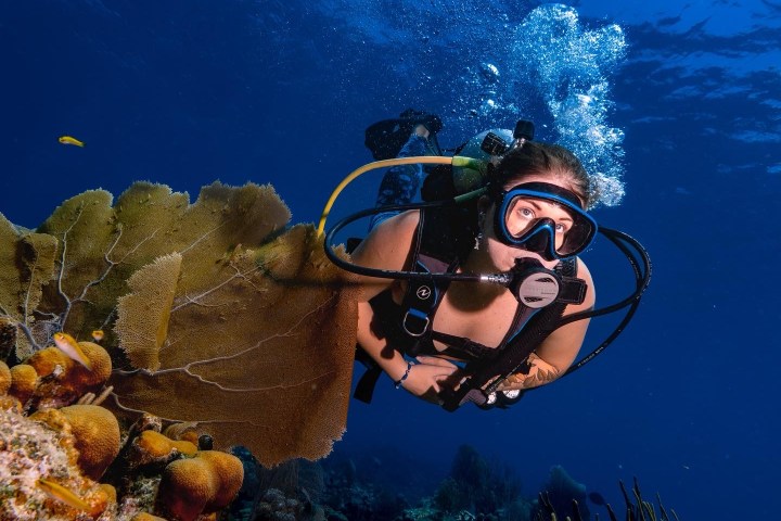 a person swimming in the water
