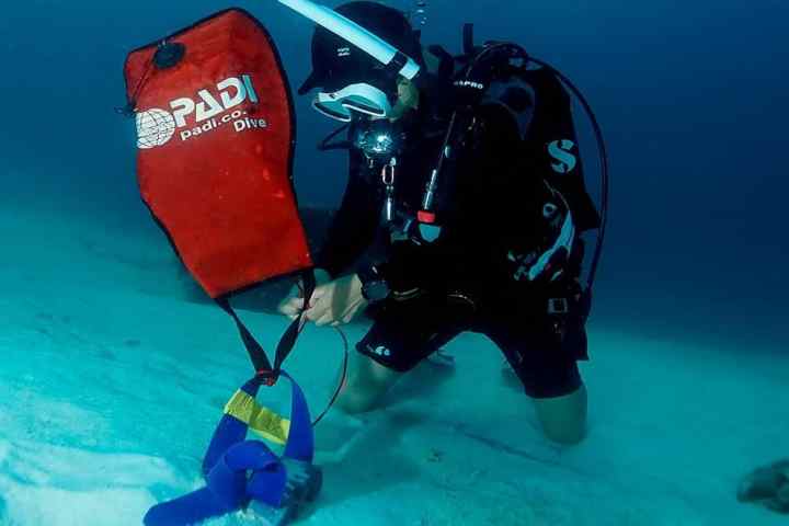 a person swimming in the water