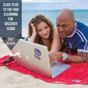 DSD Computer eLearning