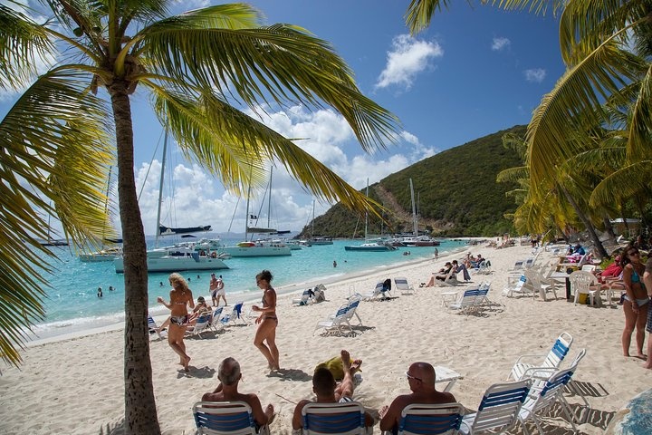 a group of people on a beach with a palm tree