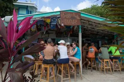 a group of people sitting at a table in front of a palm tree