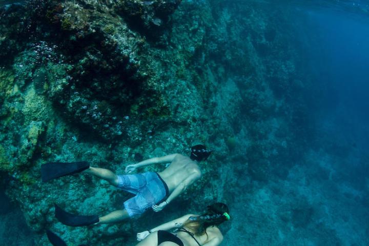 a person swimming in a body of water