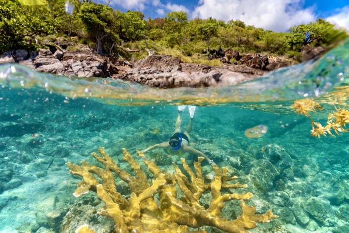 a group of people swimming in the water