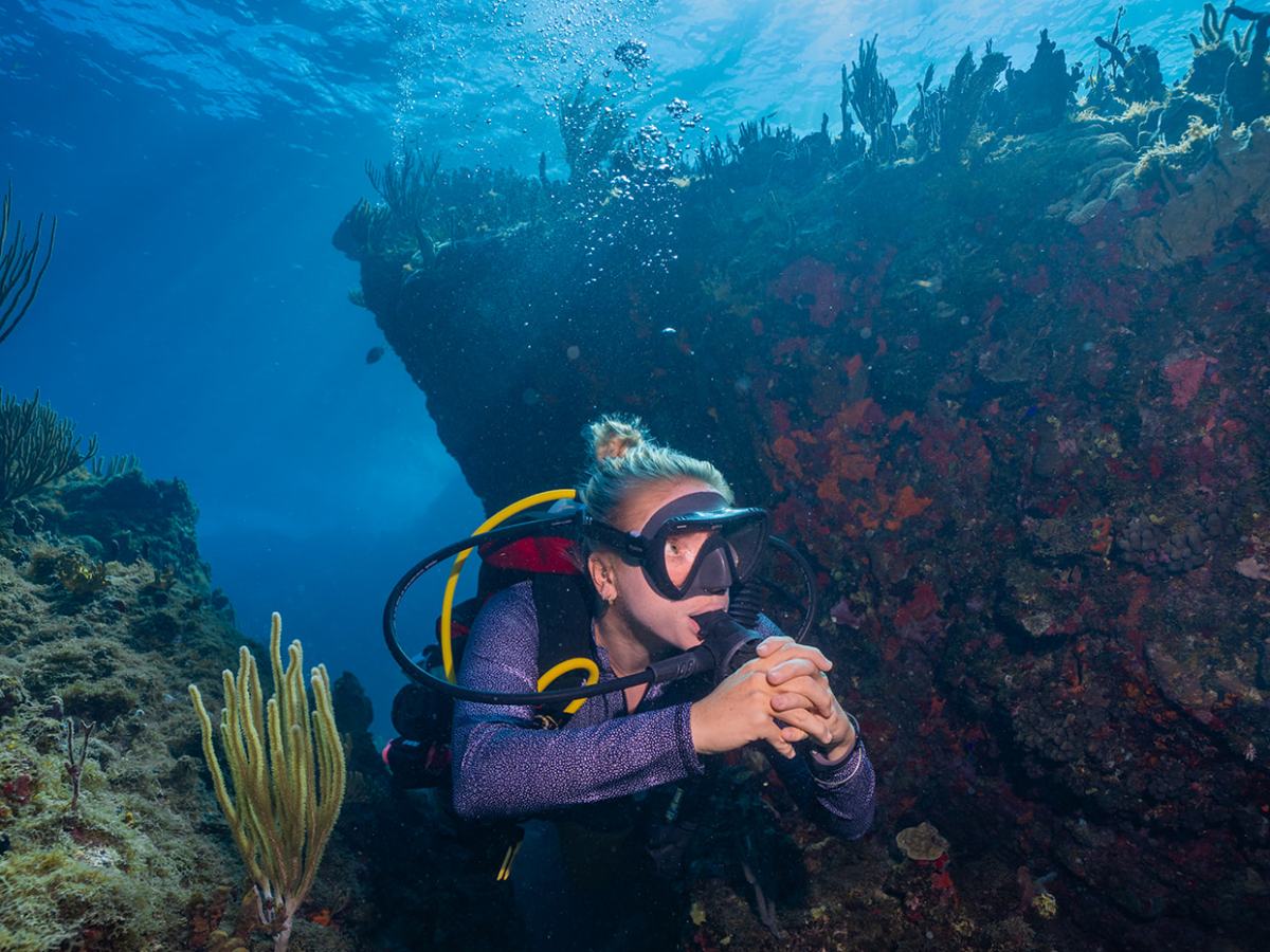 a man standing on top of a mountain