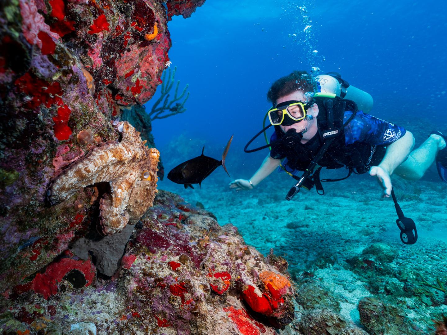 a group of people swimming in the water