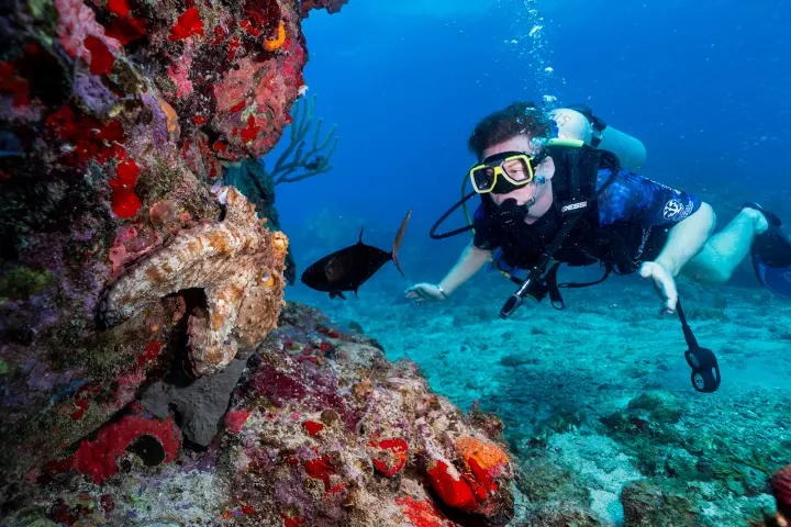 a group of people swimming in the water